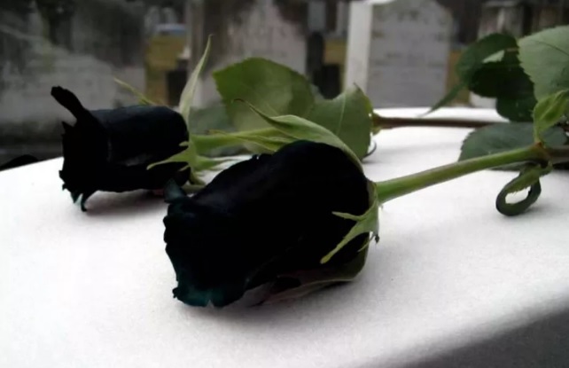 Falleció el 10/11/2018 a los 91 años de edad. Sus restos recibieron sepultura el 10/11/2018 a las 16 horas en el Cementerio Parque el Prado.