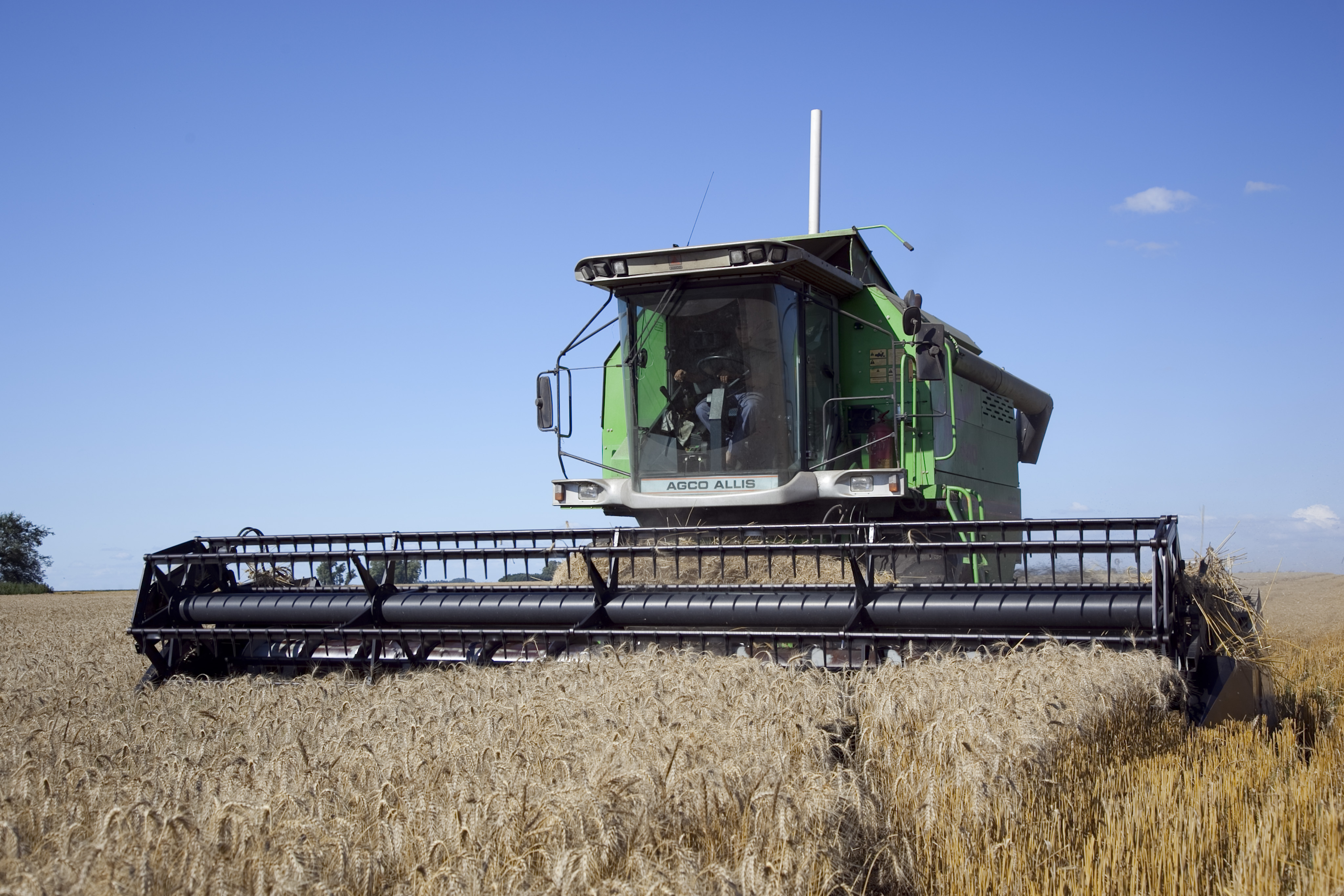 La Dirección de Producción y Turismo convoca de manera urgente a todos los productores agropecuarios, contratistas rurales o toda persona que explote parcelas rurales, sean dueños o no, a realizar inmediatamente el Censo Agropecuario Nacional. El mismo terminará el próximo 31 de marzo, fecha final y definitiva.