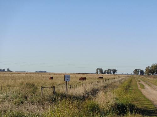 La Dirección de Producción y Turismo informó que aquellos productores agropecuarios de la provincia de Buenos Aires que aún no fueron censados deberán comunicarse para coordinar entrevista con el censista.