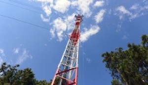 El Juzgado de Faltas municipal ordenó la clausura de la obra en construcción de antena ubicada en 25 y 36 de nuestra ciudad.