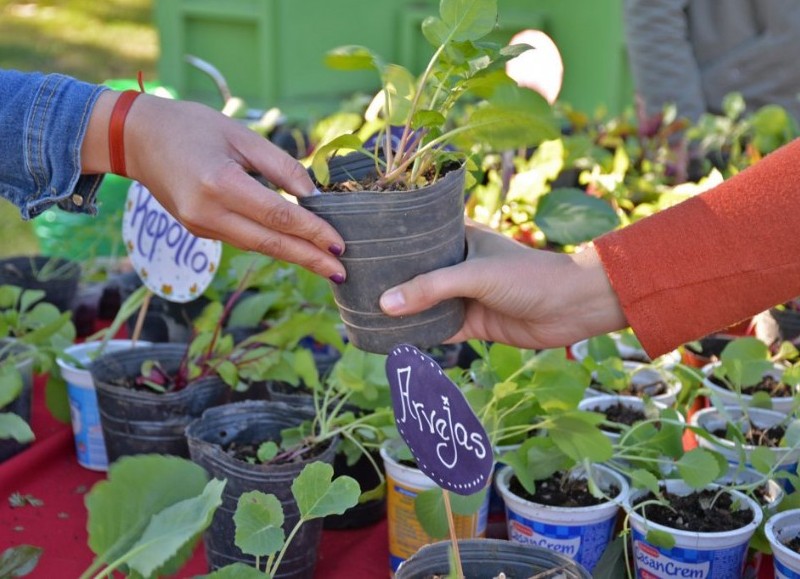 La iniciativa busca incentivar prácticas de reciclaje domiciliario y promover hábitos ambientales responsables en la comunidad.