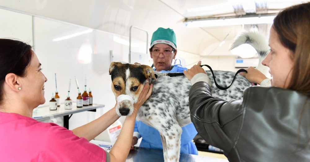 Fase de contención de la pandemia.