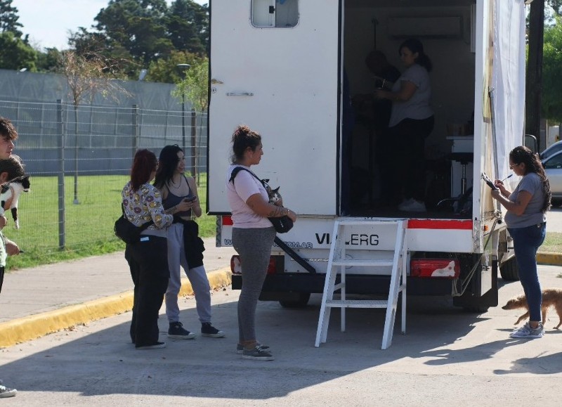 Programa Huellitas Colón: aumentó el número de castraciones mensuales