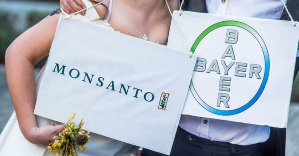 Monsanto se vanagloria del aumento de ventas de su herbicida con glifosato Roundup en plena oleada de demandas por su efecto cancerígeno
