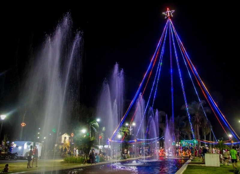 El árbol se encuentra en la Plaza San Martín, de la ciudad.