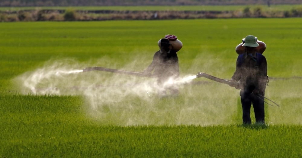 Bayer ya sufrió tres condenas en California, por las cuales debe pagar indemnizaciones millonarias.