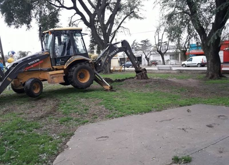 Labores en la Plaza.