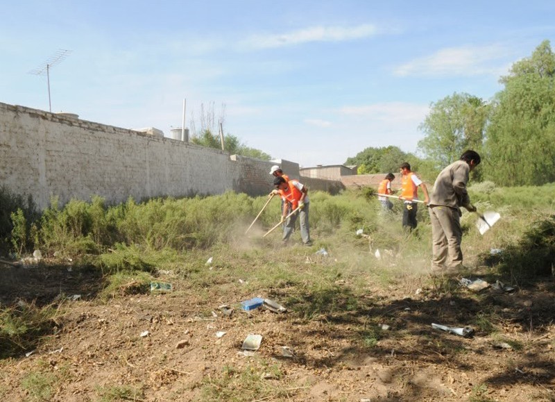 Desde la subsecretaría informaron que, de 94 parcelas registradas, 60 propietarios pusieron en condiciones los inmuebles, mientras que quienes no lo hicieron recibieron un acta exigiendo respuesta inmediata.