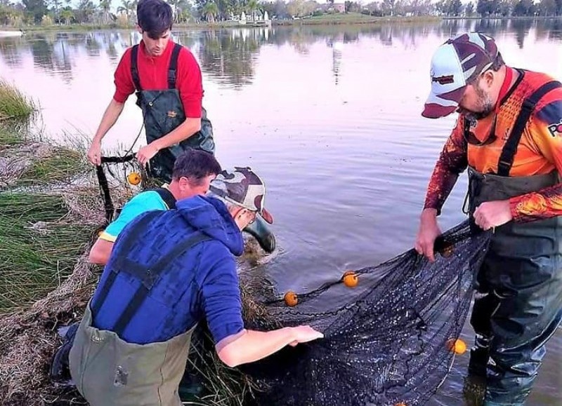 El muestreo fue solicitado por el Club Alianza y el Municipio de Colón sobre el estado ambiental y la fauna de peces del denominado “Complejo Lago Municipal de Colón”. 

