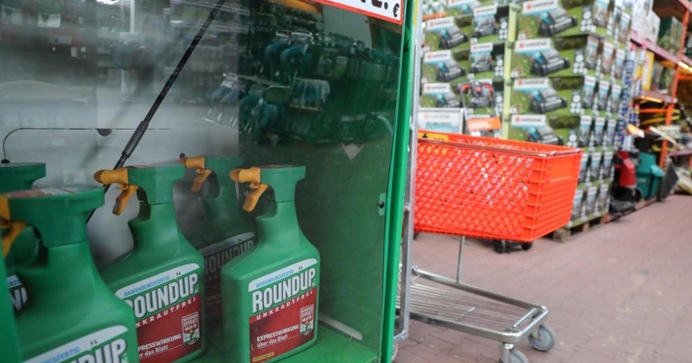 Bayer adquirió el año pasado al fabricante estadounidense de transgénicos Monsanto, que produce el herbicida Roundup.