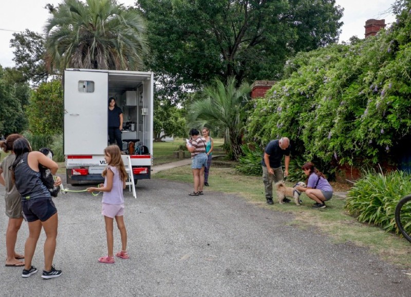 Las autoridades municipales remarcaron que la castración es una herramienta fundamental para prevenir la superpoblación animal.