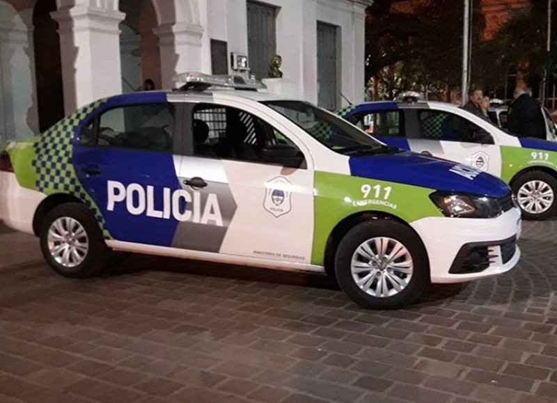 ¡Insólito robo! Se llevaron más de 6 mil pollos de 2 criaderos