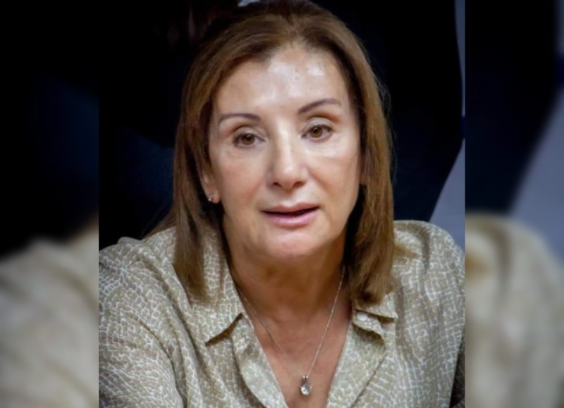 La doctora Cristina D`Alessandro, directora de Atención Primaria de Salud, habló sobre el programa que se desarrolla desde Nación.