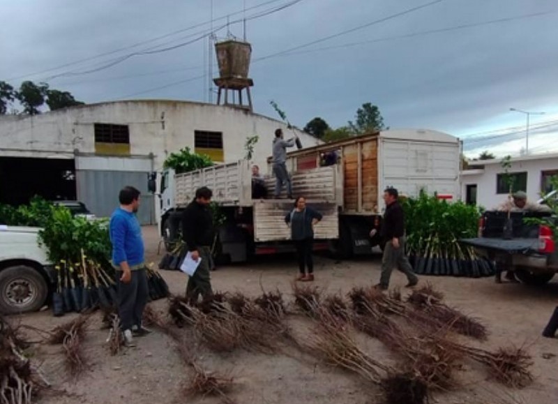 Estos emprendedores locales tienen asistencia técnica del ingeniero Gabriel Farre, y además están asistidos por el Ministerio de Desarrollo Agrario.