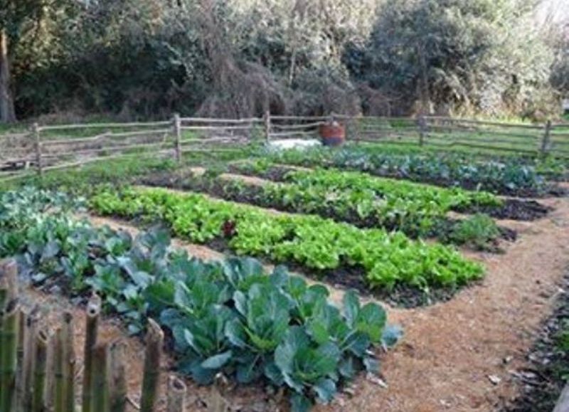 La cita es en el Rancho Museo La Palmira.