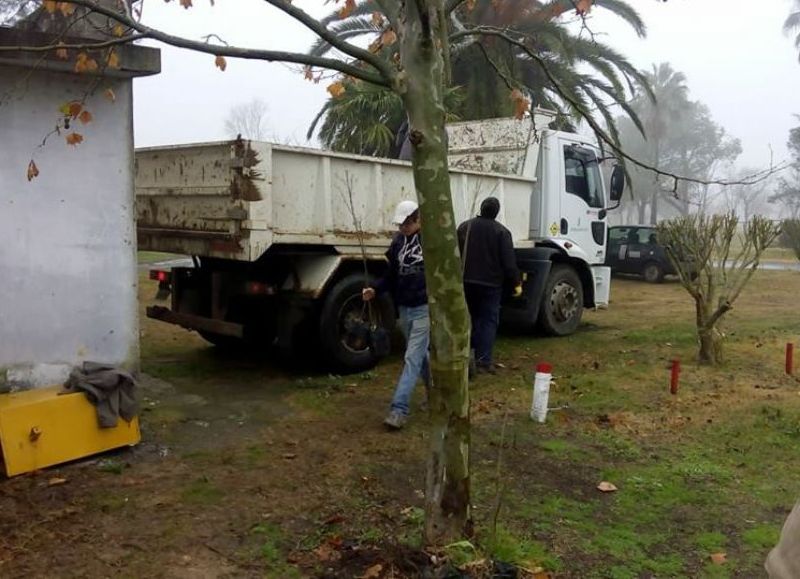 A cargo de la Dirección de Espacios Verdes.