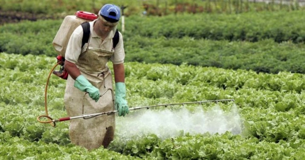 Los agrotóxicos son venenos que pueden producir cáncer, daño genético y afectar el sistema hormonal y nervioso humano.
