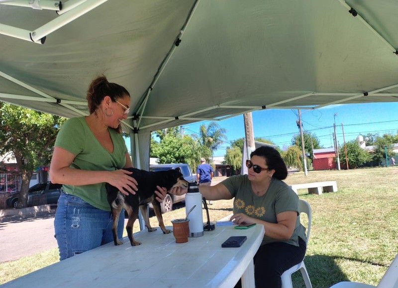 Programa Huellitas: nueva jornada de vacunación antirrábica gratuita