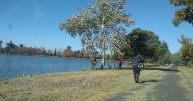 Labores de desmalezamiento en el predio del Lago Municipal