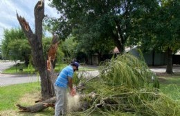 El municipio continúa trabajando tras el temporal