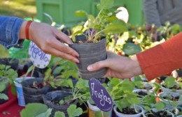 Se viene una jornada ambiental y sanitaria, con EcoCanje y vacunación antirrábica