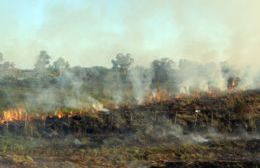 Se incendiaron 36 hectáreas de campo