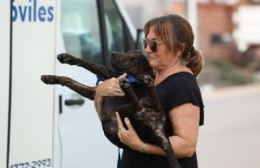 Zoonosis realizó una nueva jornada de castración gratuita en la ciudad