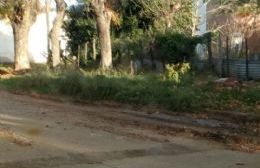 Información sobre reclamo de calle 23 entre 52 y 53