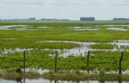 Emergencia agropecuaria: Productores de Colón entregaron la documentación correspondiente