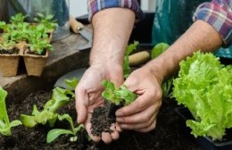 La Dirección de Producción entrega semillas de la temporada otoño e invierno