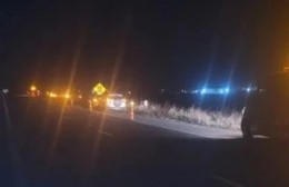 Dos automóviles chocaron contra los equinos que cruzaron el carril de la ruta Pergamino-Colón.