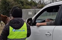 Operativo de seguridad vial: secuestraron nueve motos por diversas infracciones