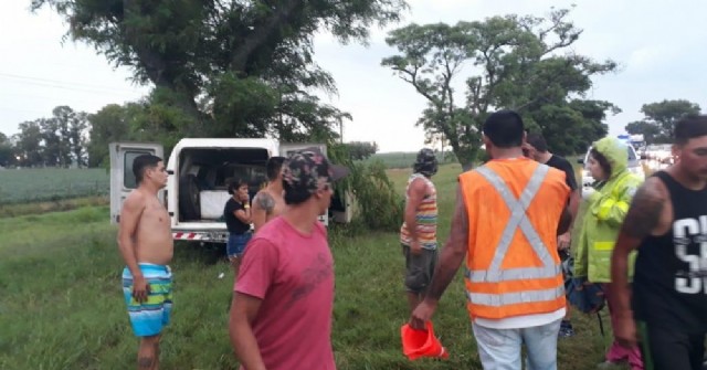 F100 chocó contra un árbol