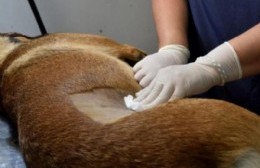 La iniciativa tendrá lugar el próximo miércoles 10 de diciembre en el Patio del Artista.