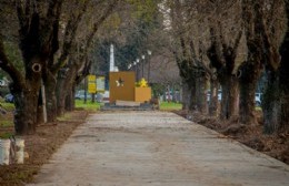 Nuevo paisaje en el boulevard