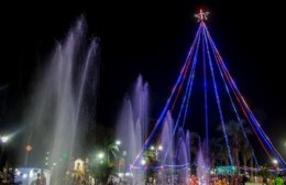 Colón encendió el árbol navideño