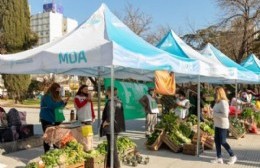 Este jueves vuelve la Feria de Alimentos a Plaza San Martín