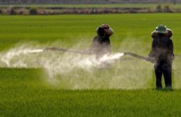 El número de demandas que debe afrontar Bayer por los letales efectos del glifosato asciende a 18.400