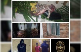 El delincuente de 15 años intentó llevarse mercadería y la caja registradora.