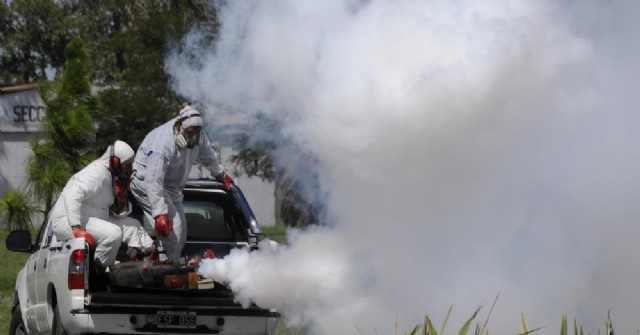 Refuerzan las labores de fumigación