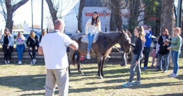 Terapia asistida con animales