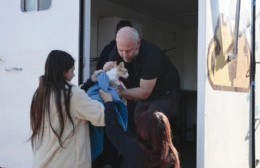 La Dirección de Zoonosis realizó una jornada de castración en 26 y 47