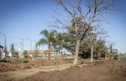 Continúan los trabajos en la avenida 50