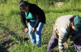 Actualizacion del Monotributo Social Agropecuario