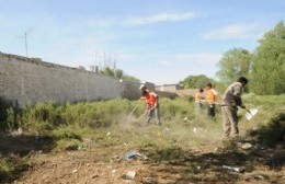 Seguridad Vial lleva a cabo inspecciones en terrenos para evaluar condiciones de higiene