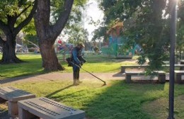 La Municipalidad continúa trabajando en el embellecimiento de los espacios públicos