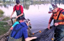 Se conocieron los resultados preliminares de los estudios en el Lago