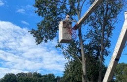 Convocan a podadores para integrar el registro municipal