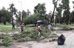 Trabajos en la Plaza luego de la tormenta