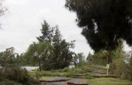 Monitoreo del INTA para avanzar en la reforestación